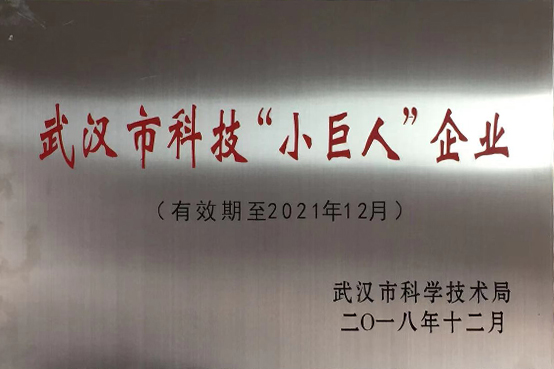 武汉市科技“小巨人”企业 